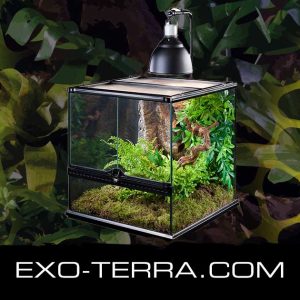 Exo Terra Light Bracket Soporte para Lámparas