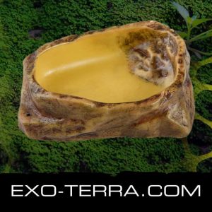 Exo Terra Water Dish Medium