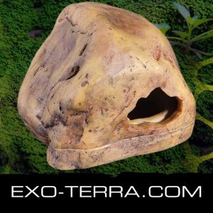 Exo Terra Gecko Cave Cueva Pequeña
