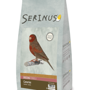 Envase de Serinus Canarios Cría