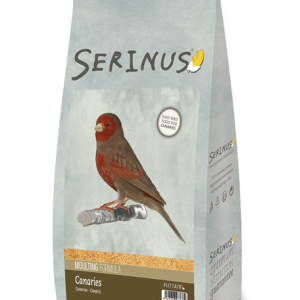 Envase de Serinus Canarios Muda